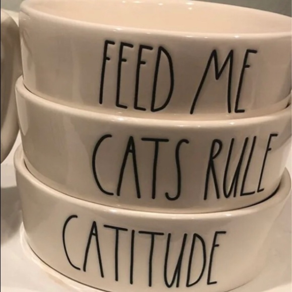 New Cat Food Dish